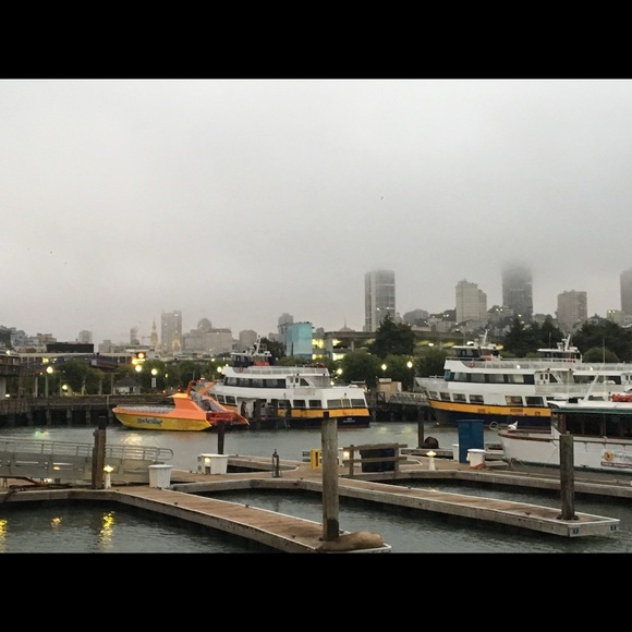 Meet your Posher, Emma - Picture 2 of 2